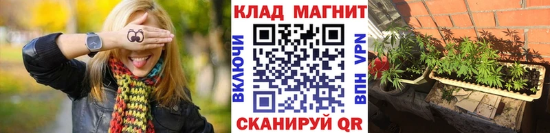 Купить наркотики сайты Михайлов Амфетамин  ссылка на мегу как войти  МЕФ  Гашиш  COCAIN  Каннабис  МДМА 