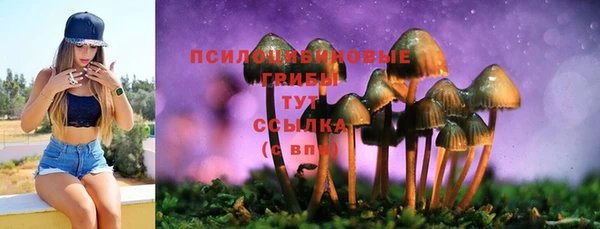 кристаллы Богородск