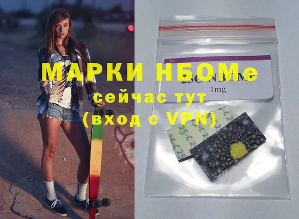 мдпв Богородицк