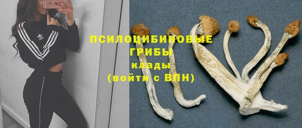 мдпв Богородицк