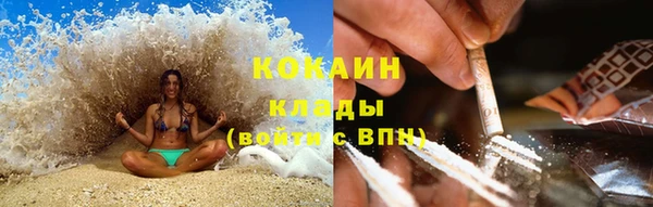 мдпв Богородицк