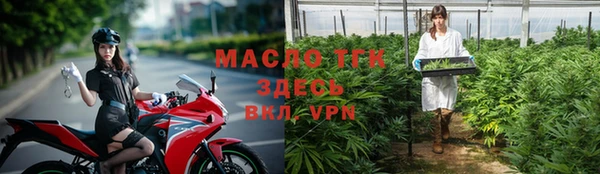 мдпв Богородицк