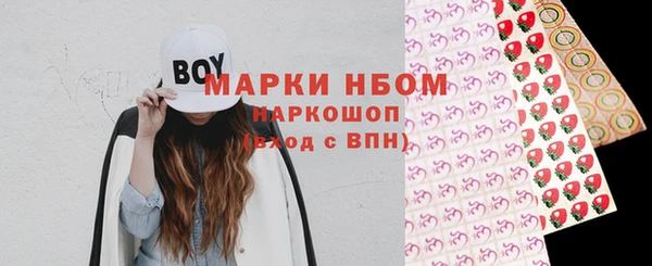 мдпв Богородицк